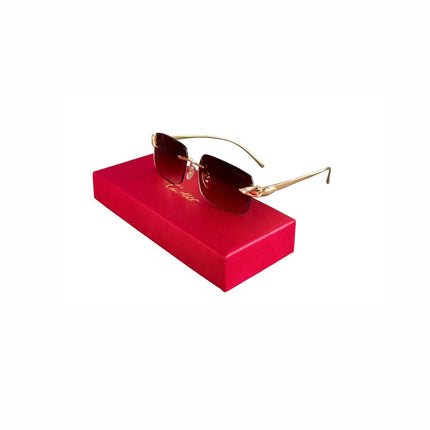 Collection image for: LENTES