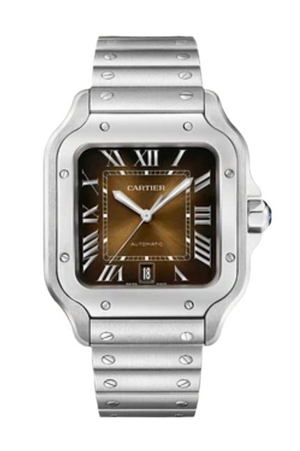 CARTIER SANTOS FONDO MARRÓN