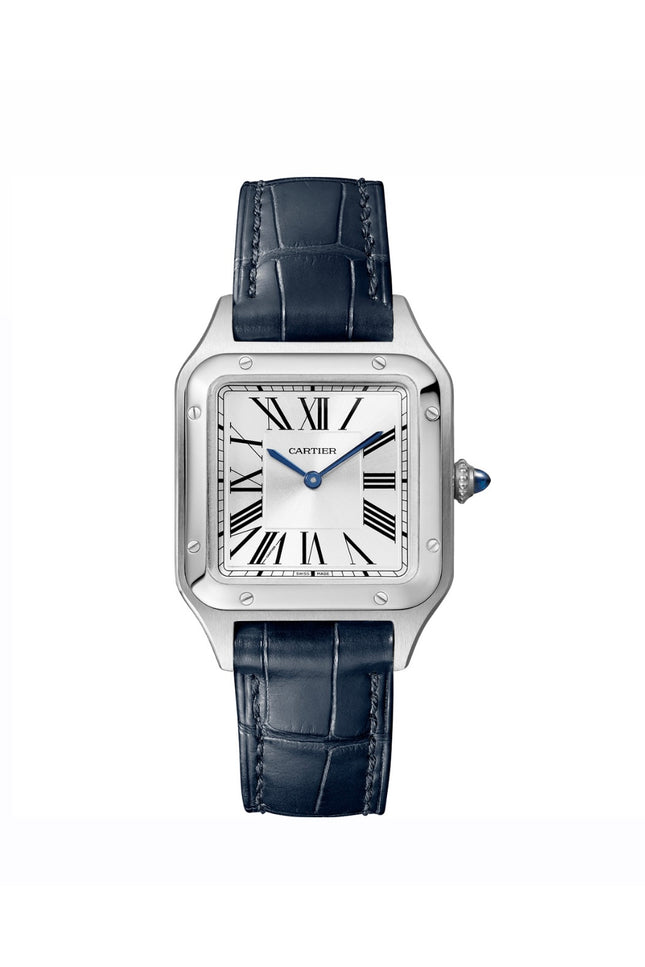 CARTIER SANTOS DUMONT - AZUL CHICO