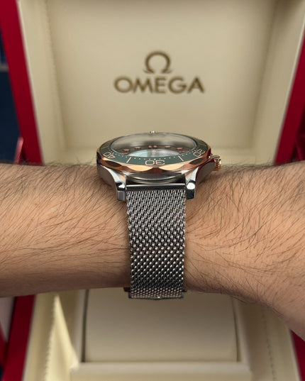 OMEGA SEAMASTER DIVER 300M - TITANIO
