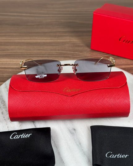CARTIER FOTOCROMÁTICO