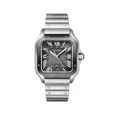 Cartier santos bicolor