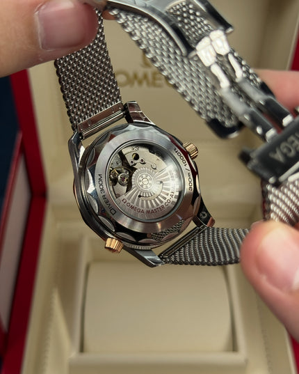 OMEGA SEAMASTER DIVER 300M - TITANIO