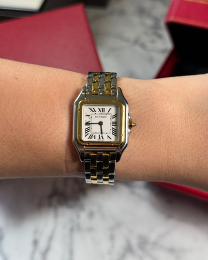 CARTIER SANTOS PANTHERE BICOLOR
