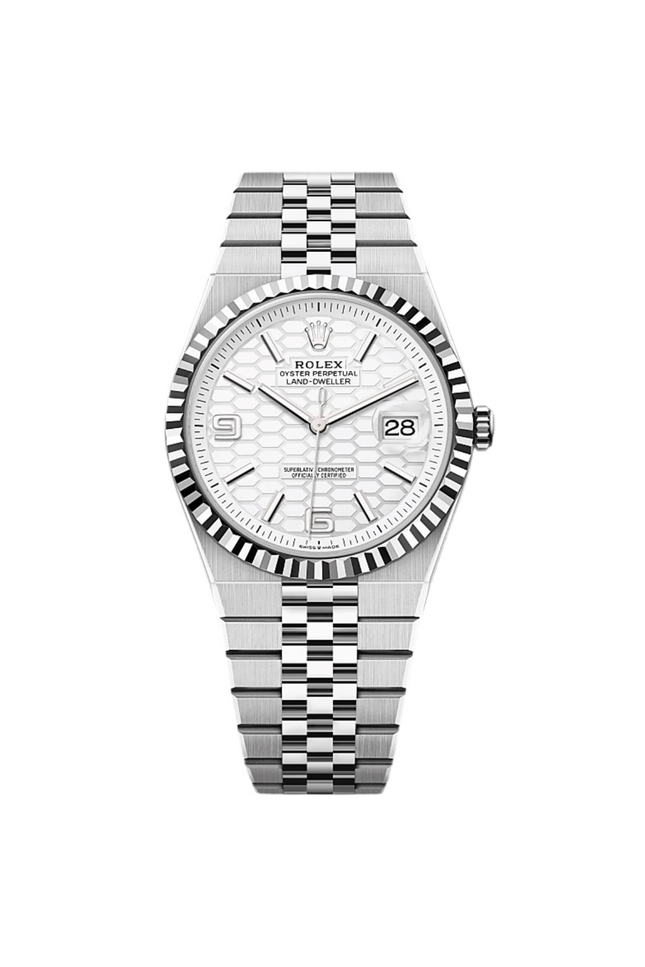 ROLEX LAND-DWELLER 40MM - FONDO BLANCO
