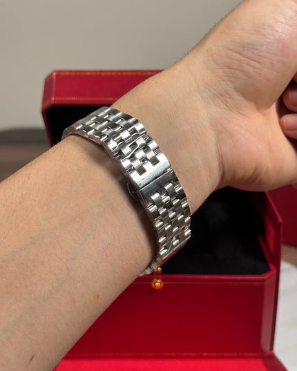 CARTIER PANTHERE PLATEADO GRANDE