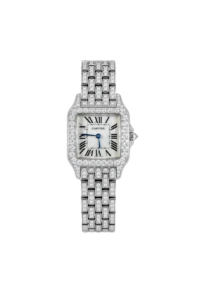 CARTIER SANTOS DEMOISELLE - FONDO BLANCO